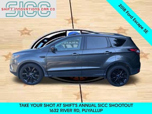 Magnetic 2018 Ford Escape SE