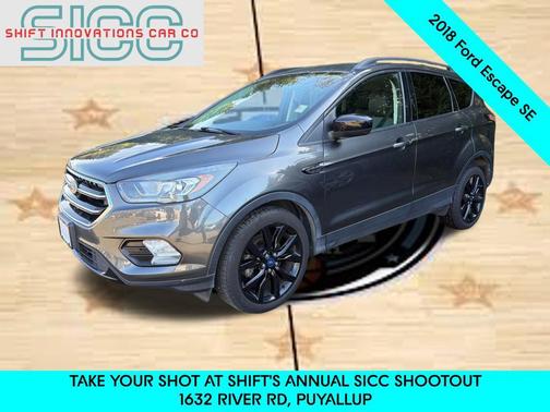 Magnetic 2018 Ford Escape SE