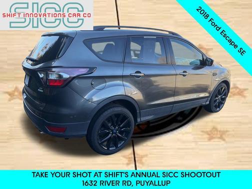 Magnetic 2018 Ford Escape SE