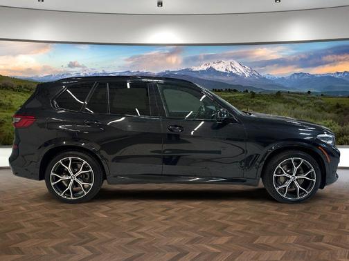 Black Sapphire Metallic 2019 BMW X5 xDrive40i