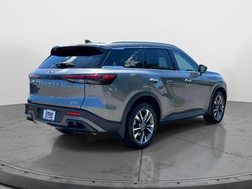 Graphite Shadow 2025 INFINITI QX60 Luxe