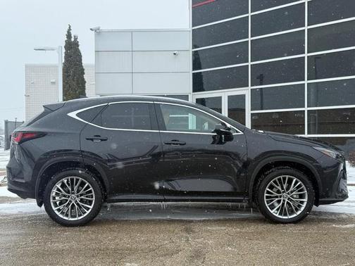 2025 Lexus NX 350h Premium