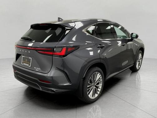 2025 Lexus NX 350h Luxury
