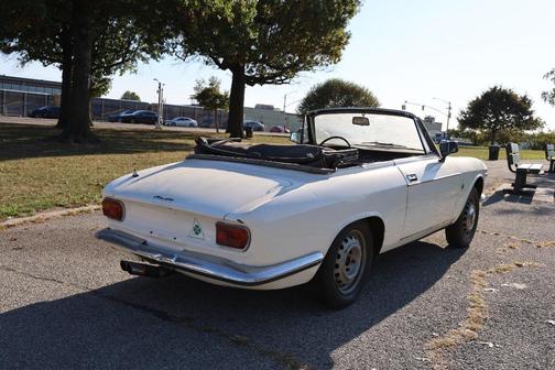 1965 Alfa Romeo Giulia Base