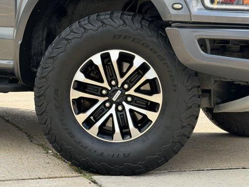 Magnetic Metallic 2020 Ford F-150 Raptor