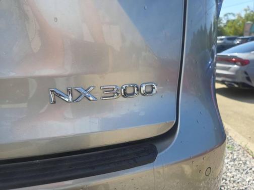 2021 Lexus NX 300 F Sport