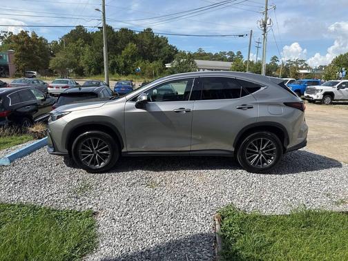 2024 Lexus NX 250 Premium
