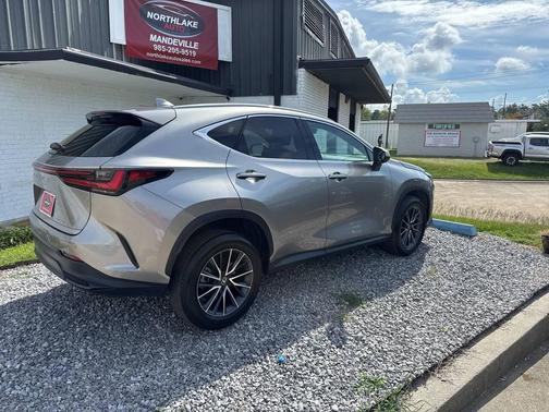 2024 Lexus NX 250 Premium