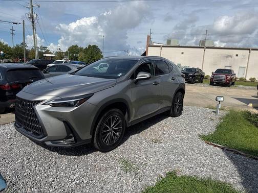 2024 Lexus NX 250 Premium