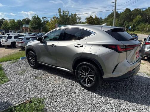 2024 Lexus NX 250 Premium