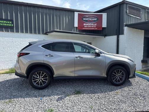 2024 Lexus NX 250 Premium