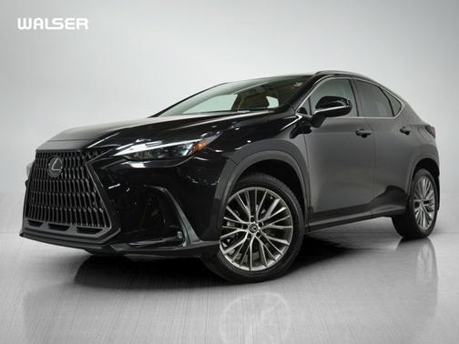 2023 Lexus NX 350 Premium