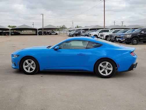 GRABBER BLUE METALLIC 2024 Ford Mustang EcoBoost