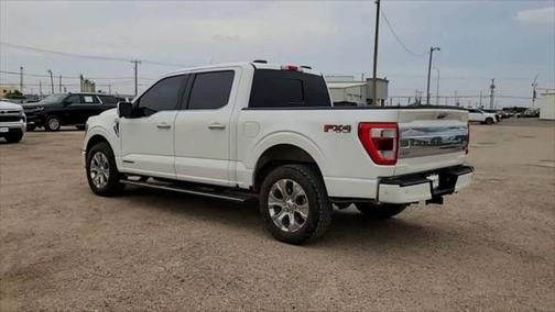 2021 Ford F-150 Platinum