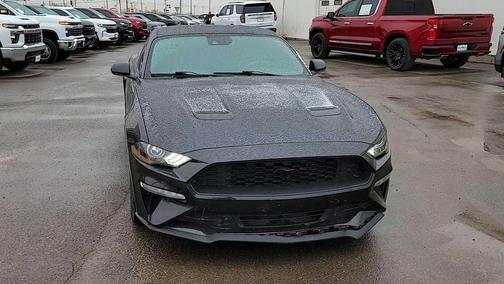 2022 Ford Mustang EcoBoost