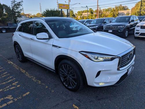 2019 INFINITI QX50 Luxe