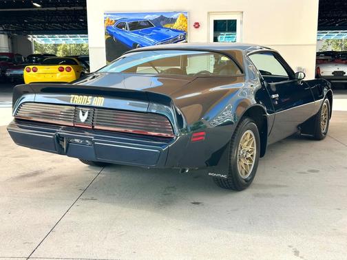 1981 Pontiac Firebird Trans Am