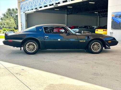 1981 Pontiac Firebird Trans Am