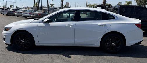 Summit White 2023 Chevrolet Malibu FWD 1LT