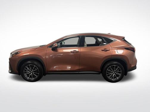2025 Lexus NX 350h Luxury