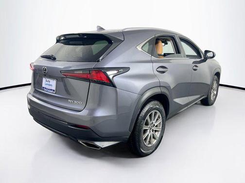 Nebula Gray Pearl 2020 Lexus NX 300 Base