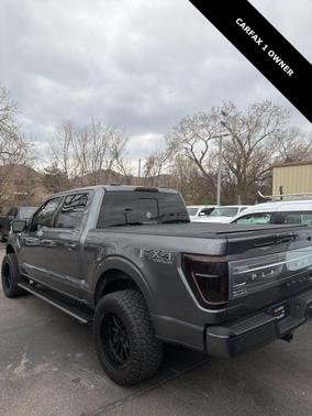 2022 Ford F-150 Platinum