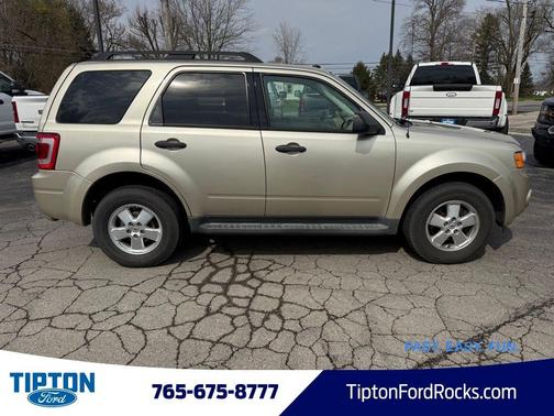 Gold Leaf Metallic 2012 Ford Escape XLT