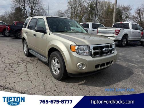 Gold Leaf Metallic 2012 Ford Escape XLT