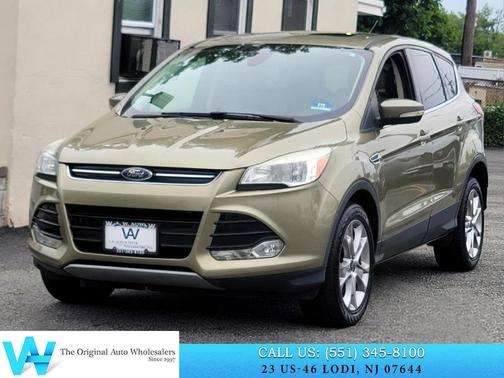 GINGER ALE METALLIC 2013 Ford Escape SEL
