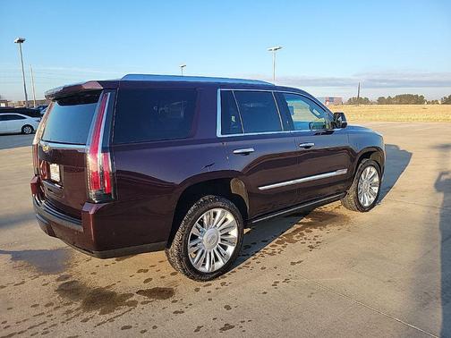 2017 Cadillac Escalade Platinum