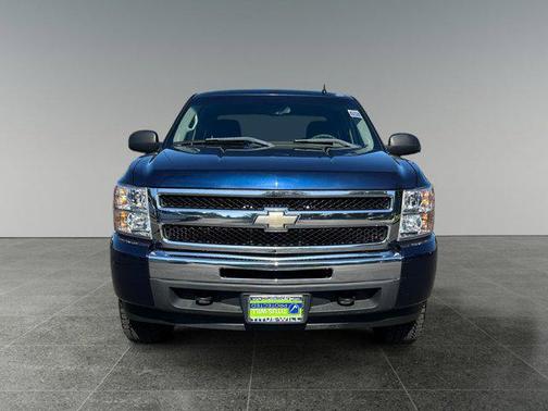 2009 Chevrolet Silverado 1500 LS Crew Cab