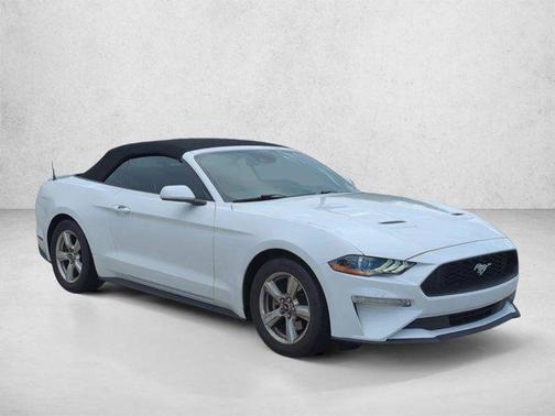 Oxford White 2019 Ford Mustang EcoBoost