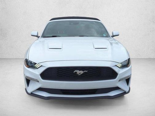 Oxford White 2019 Ford Mustang EcoBoost