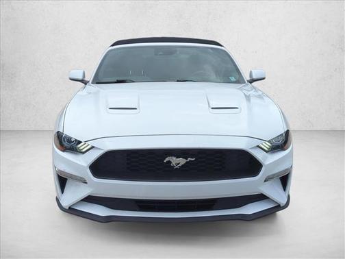 2019 Ford Mustang EcoBoost