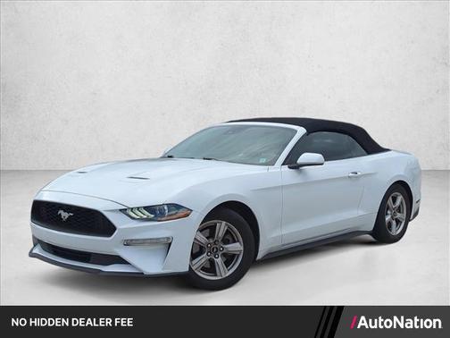 Oxford White 2019 Ford Mustang EcoBoost
