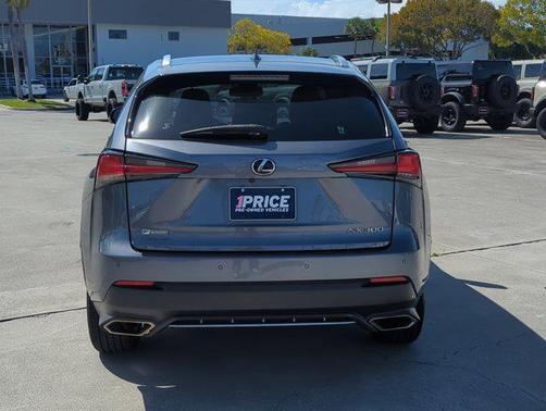 Nebula Gray Pearl 2021 Lexus NX 300 F Sport