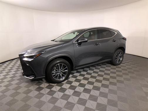 2025 Lexus NX 250 Premium