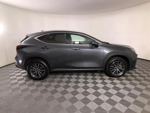 2025 Lexus NX 250 Premium