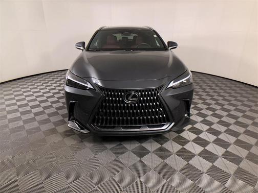 2025 Lexus NX 250 Premium