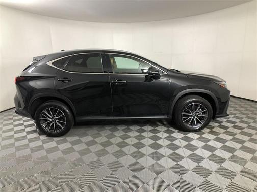 2024 Lexus NX 250 Premium
