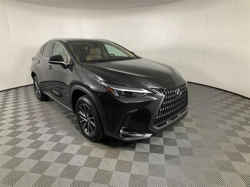 2024 Lexus NX 250 Premium