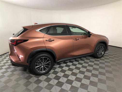 2025 Lexus NX 250 Premium
