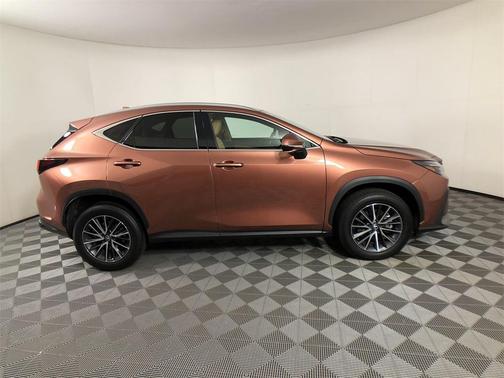 2025 Lexus NX 250 Premium