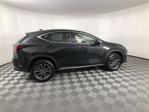 2024 Lexus NX 250 Premium