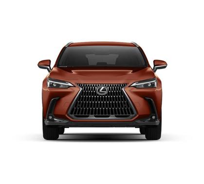 2025 Lexus NX 350 Luxury
