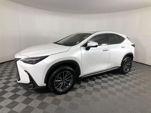 2024 Lexus NX 250 Premium