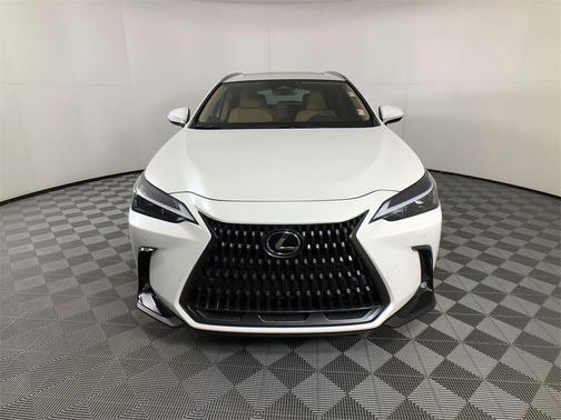 2024 Lexus NX 250 Premium