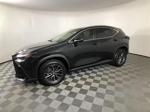 2024 Lexus NX 250 Premium
