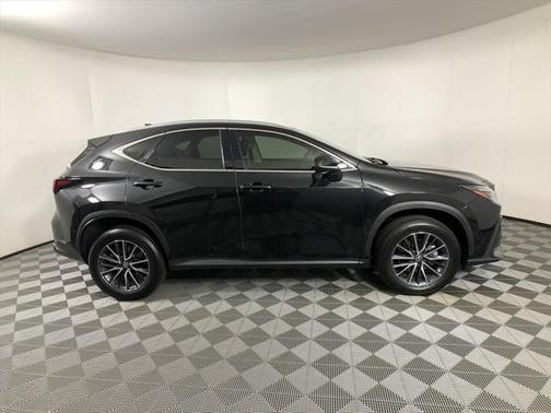 2024 Lexus NX 250 Premium