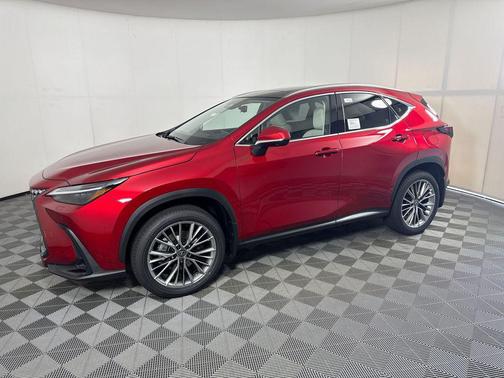 Infrared 2026 Lexus NX 350 Luxury